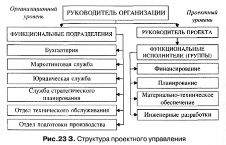 Структура проектного  управления
